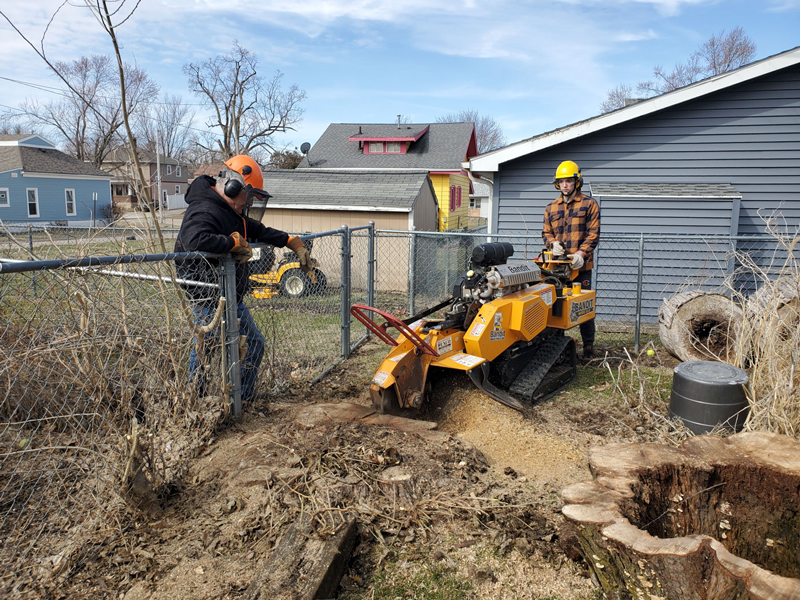 Cedar Rapids stump grinding by Sure Wood’s expert team