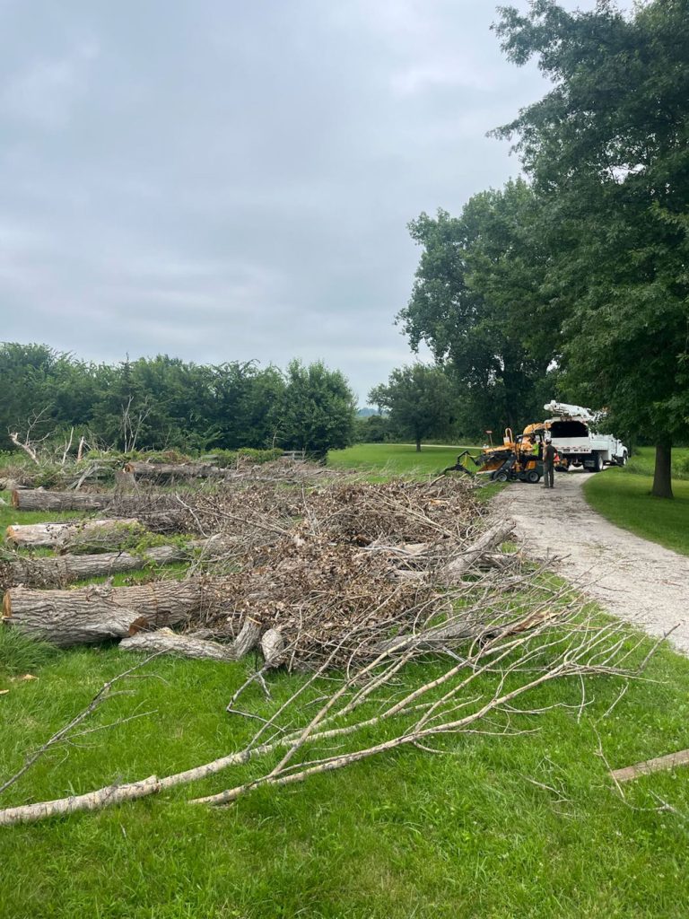 Several large tree branches and trunks lay on the grass near a gravel path, with a wood chipper and a truck parked in the background under cloudy skies.