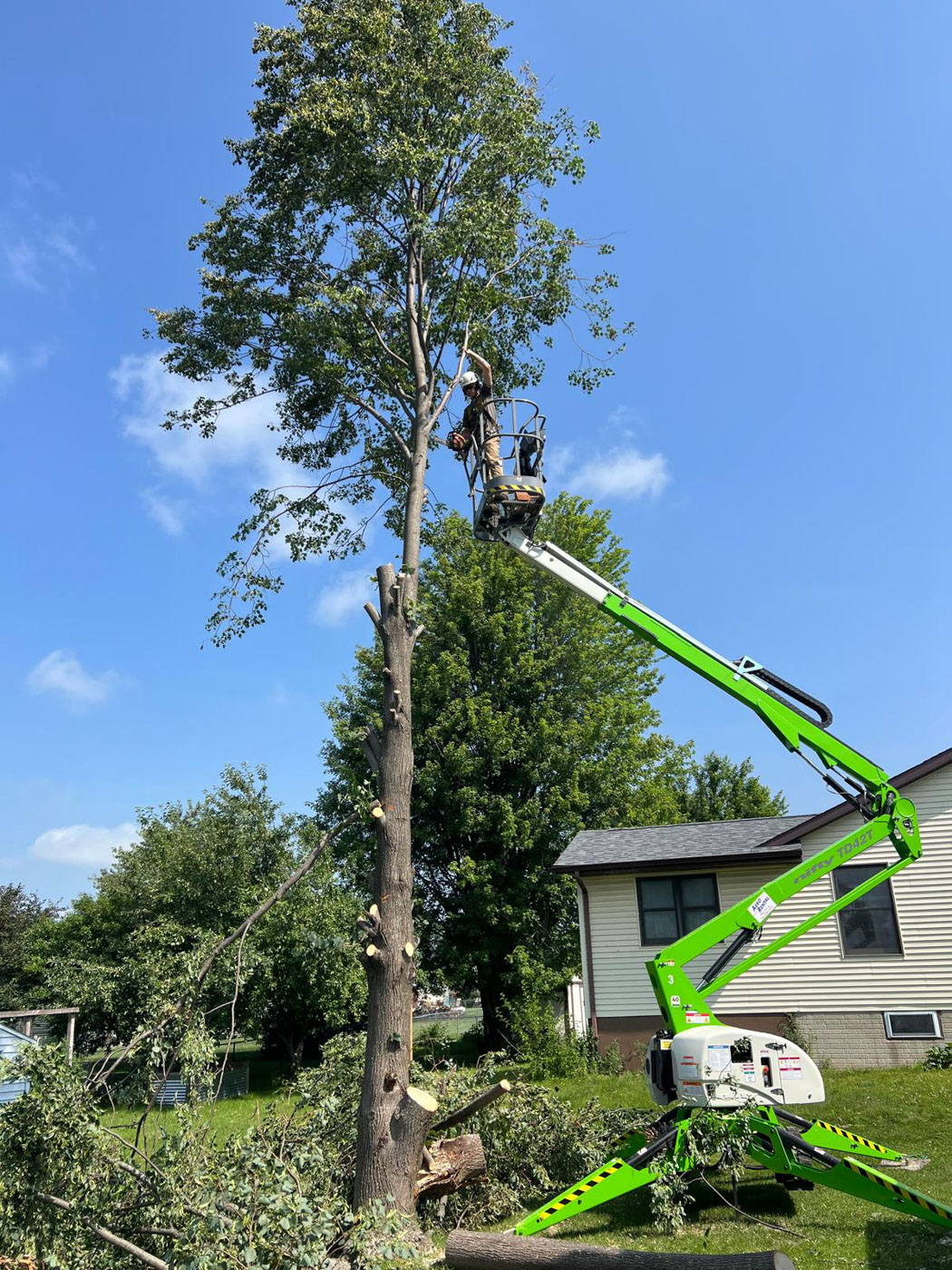 Sure Wood Tree Services founding in Cedar Rapids after 2020 storm