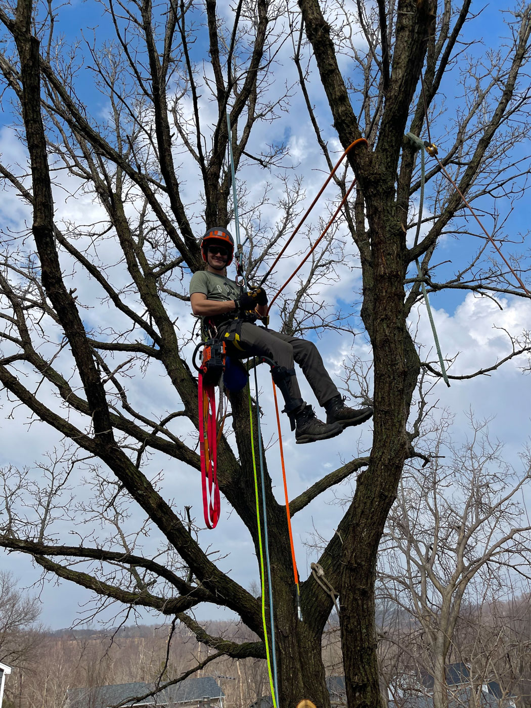 Sure Wood team restoring beauty in Marion, IA through sustainable tree care