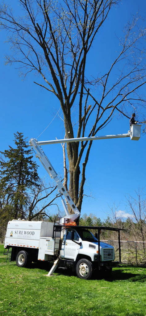Person cutting wood with a chainsaw, spraying wood chips.