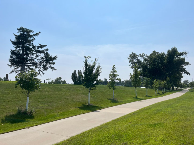 A paved sidewalk runs alongside a grassy slope with young and mature trees on a clear, sunny day.