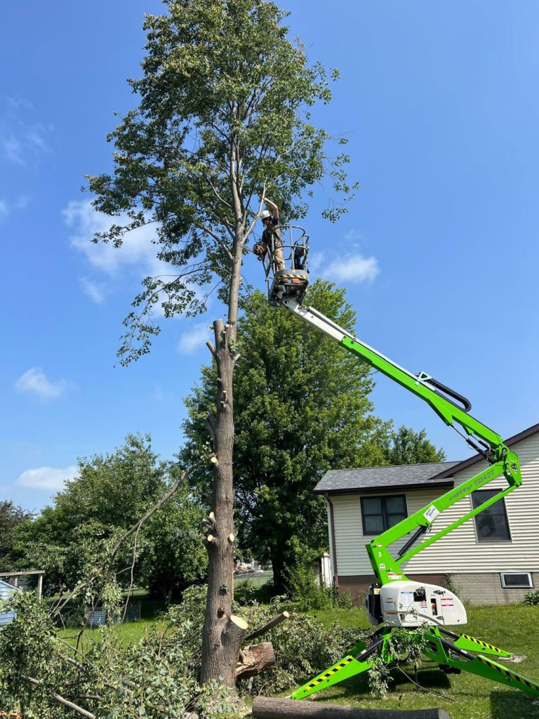 A worker using a green cherry picker cuts branches from a tall tree in a residential yard; trimmed branches and debris are on the ground below.