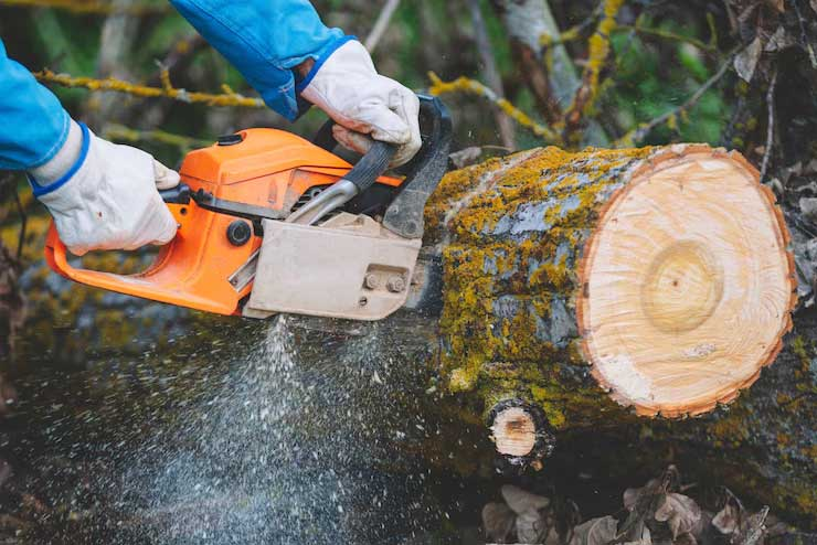 Person wearing gloves and blue jacket uses an orange chainsaw to cut through a thick tree branch, with sawdust spraying.